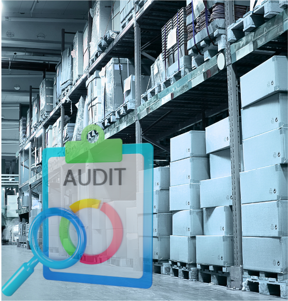 Manual Errors During Stock Audits